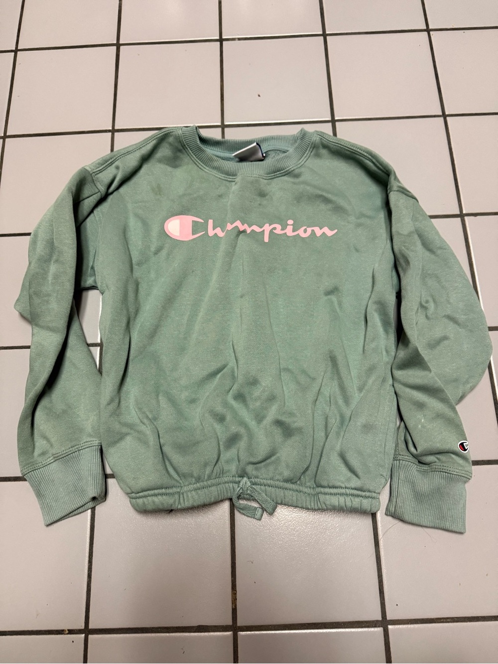 Champion Sage Crewneck Sweatshirt with Pink Logo